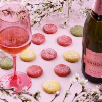 MHDモエヘネシーディアジオが桜の名所を「CHANDON ロゼ」を片手にめぐる「お花見 CHANDON 2016」を開催