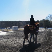 澄み渡る富士の麓で サラブレッドに乗る 朝霧高原 エクインホリック 富士の旅vol 2 Photo 6 7 Fashion Headline