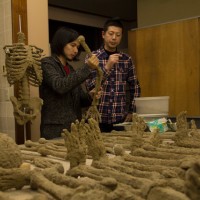 2月末に訪ねたモルタルマジックには、ずらりと骸骨模型が並んでいた