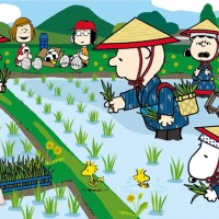銀座三越 スヌーピーとゆかいな仲間たちが田植えや醤油造りを体験 日本の おいしい をお届け Photo 4 13 Fashion Headline