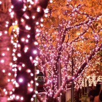 桜色LEDで彩られた“冬の桜”を楽しめる「目黒川みんなのイルミネーション2016」