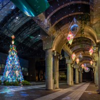アークヒルズ内のアーク・カラヤン広場で「アークヒルズクリスマス 2016～LIGHT of MAGIC～」が開催※イメージ