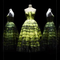 ラフ・シモンズがクリスチャン・ディオールのためにデザインしたイブニングドレス（2012年秋冬コレクション）
