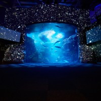 「ナイトワンダーアクアリウム2017」開催! 今年のテーマは満天の星降る水族館