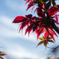 第5回「燕三条 工場の祭典」