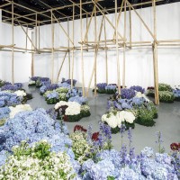 Fashion, Art, Flora: A Dialogue in Bloom-ファッション、アート、フローラ：対話による開花-