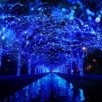 渋谷のイルミネーション「青の洞窟 SHIBUYA」