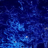 渋谷のイルミネーション「青の洞窟 SHIBUYA」
