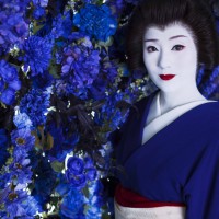 蜷川実花が 京都 と 花街 を撮り下ろした約1作が公開となる写真展が開催 Photo 11 19 Fashion Headline