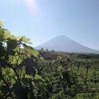 The Caravan in 富士山麓の大草原