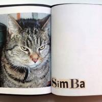 『Animal Books For / Dierenboeken Voor Jaap Zeno Anna Julian Luca』Lous Martens