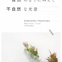 寺山紀彦（NORIHIKO TERAYAMA）、「自然のようにみえて不自然な光景」を白金OFS Galleryにて開催