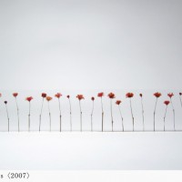 寺山紀彦（NORIHIKO TERAYAMA）、「自然のようにみえて不自然な光景」を白金OFS Galleryにて開催