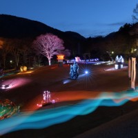 高橋匡太 《Glow with Night Garden Project in Hakone》 2017 年