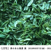 「LINK TO LIFE」茶のある風景
