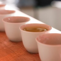 「Tea for Peace -03」が青山・国連大学中庭で開催