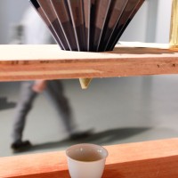 「Tea for Peace -03」が青山・国連大学中庭で開催