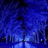 イルミネーションイベント「青の洞窟 SHIBUYA」が11月30日より渋谷公園通りから代々木公園ケヤキ並木にて開催