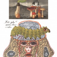 ヤン・シュヴァンクマイエル 《『アリス』のための挿絵》 2006年 ドローイング、コラージュ、フロッタージュ Illustration for the book “Alice”, 2006, by Jan Švankmaher, @Athanor Ltd.