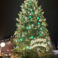 クレベール広場にある、巨大なクリスマスツリー