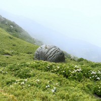 山内悠「自然 JINEN」