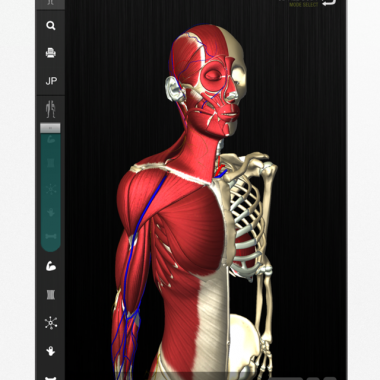 チームラボ、生きた人間の骨格の動きや形態を忠実に再現する3D人体解剖アプリ「teamLabBody」を発売