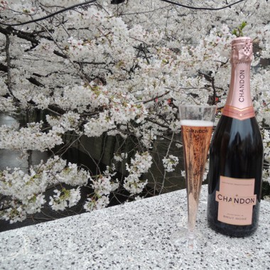 ロゼスパークリング片手に桜を愛でる「お花見 CHANDON 目黒川」今年も開催