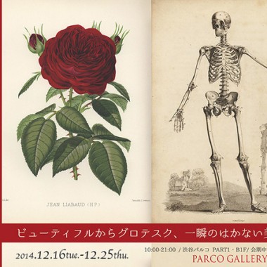 渋谷パルコ、禁断の解剖書を公開。博物画・ボタニカルアート展開催