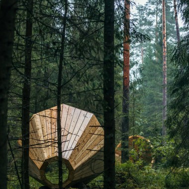 森林に突如現れた巨大な木製メガホンが奏でる自然のオーケストラ