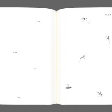 NY在住アーティスト青崎伸孝、“蚊”との格闘記録を綴ったドローイング集【NADiffオススメBOOK】