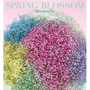 アフタヌーンティー・リビングが「花で彩る毎日の暮らし」を提案。青木むすびによるイメージビジュアルを展開