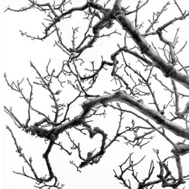 「日高理恵子 空と樹と」13年振りとなる美術館での個展がヴァンジ彫刻庭園美術館にて開催
