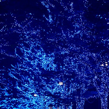【更新】イルミネーションイベント「青の洞窟 SHIBUYA」、クリスマス期間中にはピアノの生演奏で更にロマンティックな空間に