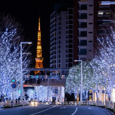 約70万灯のLEDが煌めく400mのけやき並木が今年も登場! 六本木ヒルズを彩る東京の冬の風物詩「Roppongi Hills Christmas 2020」開催