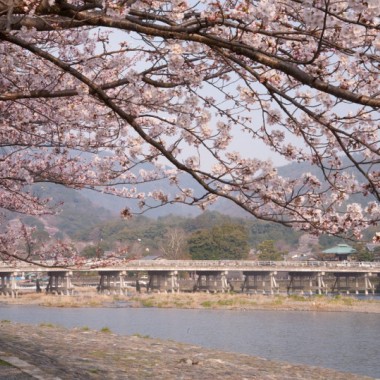 春色の着物を纏い、桜咲く嵐山で過ごす優雅な一日。翠嵐 ラグジュアリーコレクションホテル 京都がおくる宿泊プラン