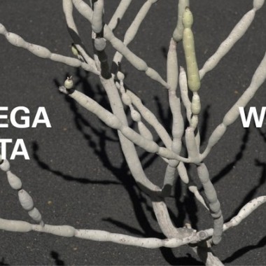【ライブストリーミング】ボッテガ・ヴェネタがWINTER 24 SHOWを2月25日午前4時に発表