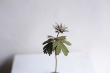 IDEE TOKYOでモリソン小林の作品展「small plants」を開催。植物を金属で表現した作品約40点を展示販売