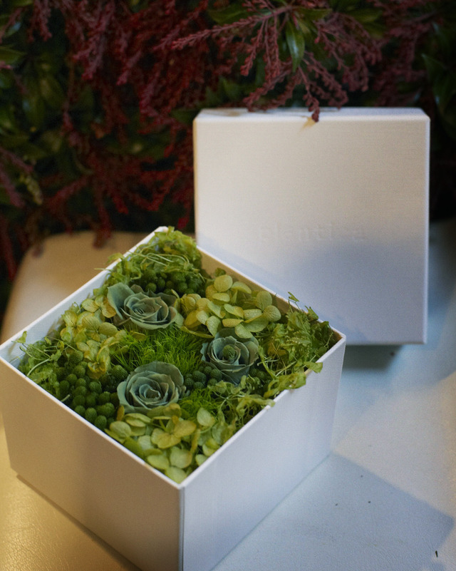 小サイズのギフトボックスも用意。花は珍しい緑色に染めた