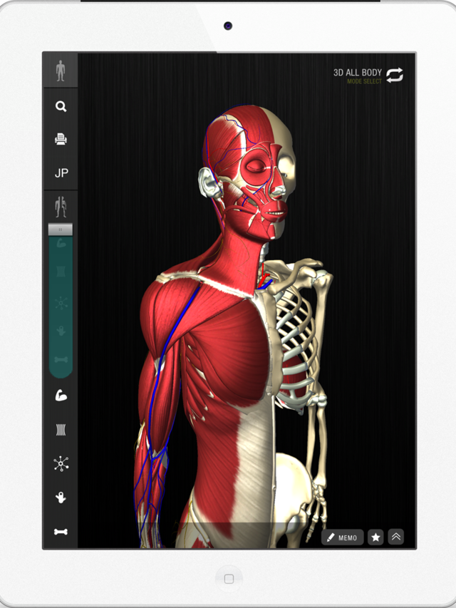 Teamlab Human Form teamLab releases