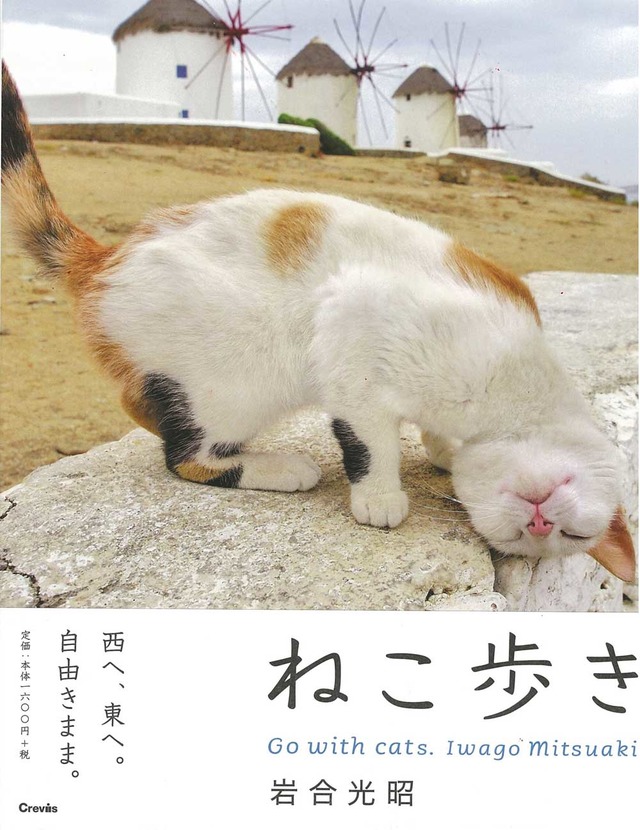 岩合光昭の写真展「ねこ歩き」開催