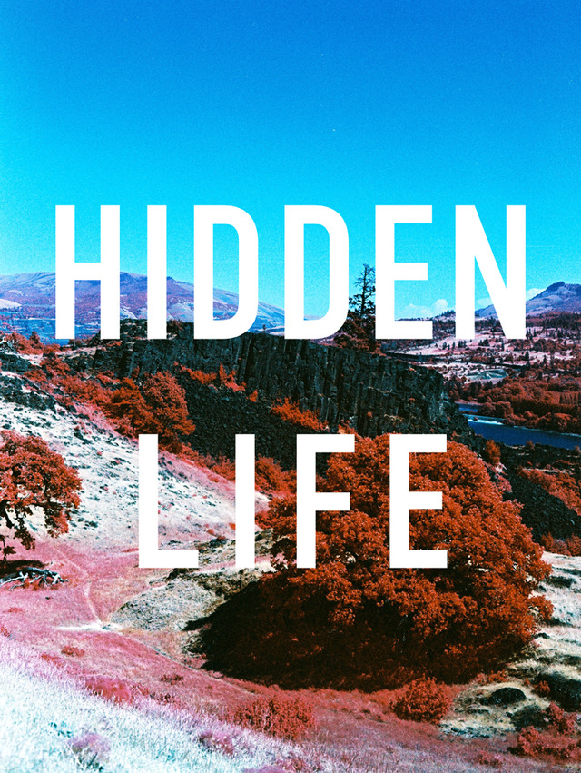 LIFE sonで開催中の「Hidden Life」展