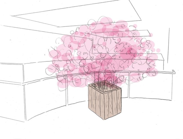 ルミネ横浜の1階吹き抜けに、岩手・宮城・福島の桜の小枝を束ねて高さ約2.5mの1本の桜に仕立てたオブジェを展示