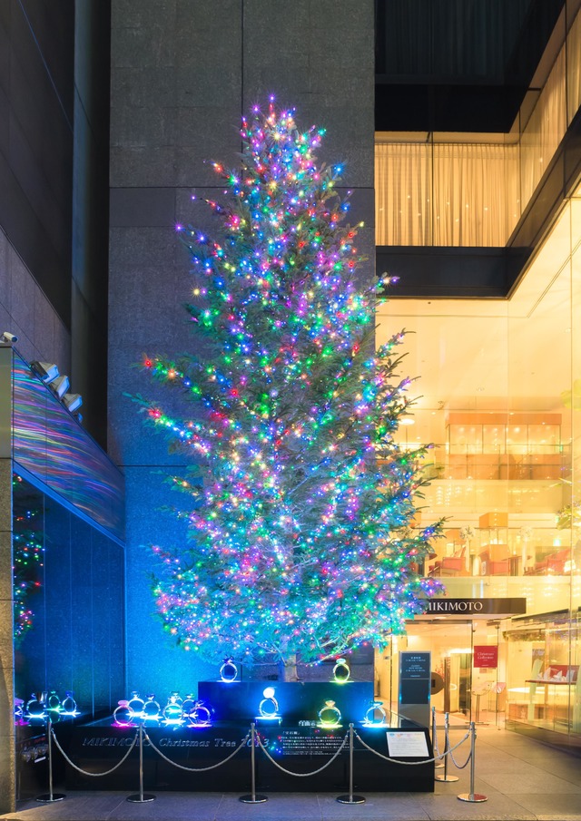 ミキモトのクリスマスツリー、今年が最後。のだめバイオリニストが点灯式 | LIFE | FASHION HEADLINE