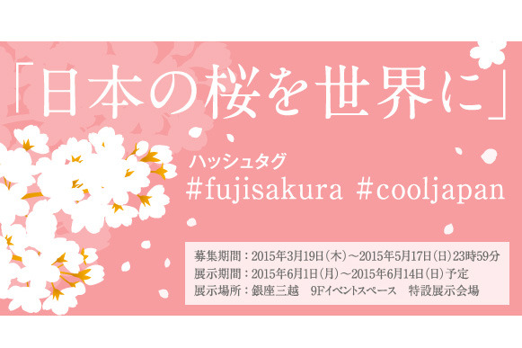 富士フイルム meets COOL JAPAN on Google+『日本の桜を世界に』