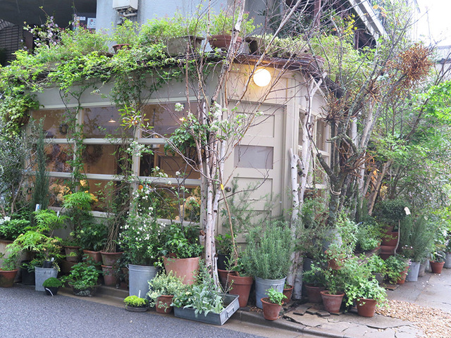 南青山の裏路地に佇む 知る人ぞ知る花屋 店内は丸ごとブーケ Le Vesuve Photo 18 18 Fashion Headline