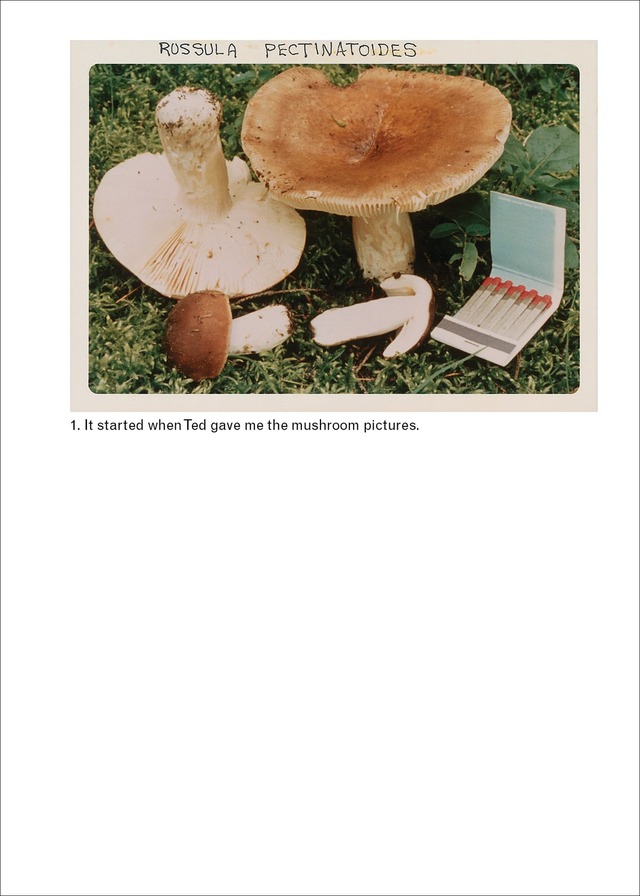「The Mushroom Collector」ジェイソン・フルフォード