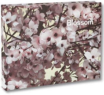 トーマス・デマンド最新作品集 「Blossom」