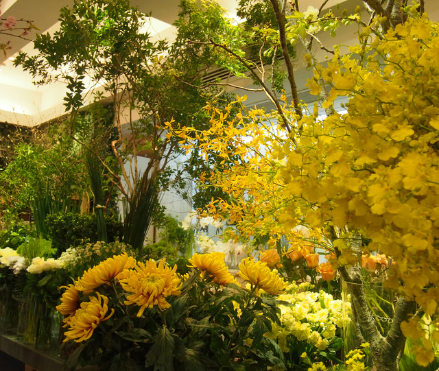 店内には約150種の草花が並ぶ