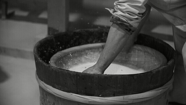 「チームラボ」が松本酒造の“伝統”を描いた動画を制作