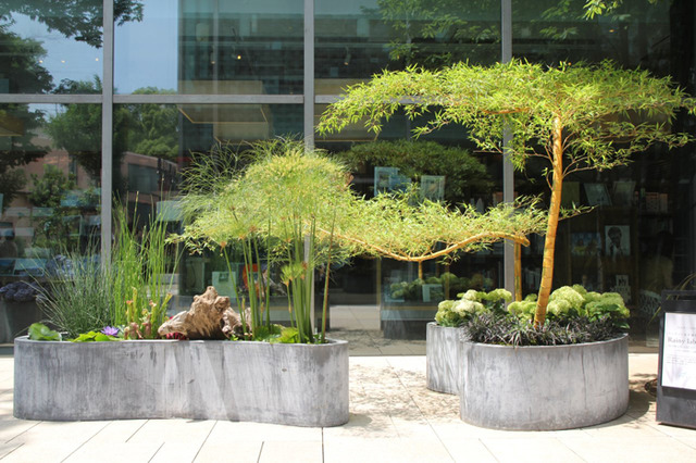アジサイと水生植物のある風景 フラワーショップ フーガ が代官山蔦屋書店で展示会 Photo 2 4 Fashion Headline